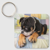 Kutest Baby Animals | Shy Old English Bulldog Sleutelhanger (Voorkant)