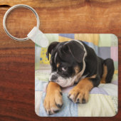 Kutest Baby Animals | Shy Old English Bulldog Sleutelhanger (Voorkant)