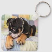 Kutest Baby Animals | Shy Old English Bulldog Sleutelhanger (Achterkant)