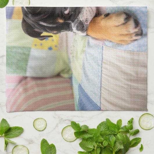 Kutest Baby Animals | Shy Old English Bulldog Theedoek (Gevouwen)