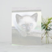 Kutest Baby Animals | Siamese Kitten (Staand voorkant)