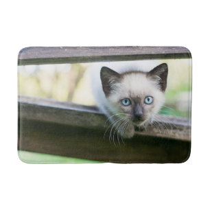 Kutest Baby Animals   Siamese Kitten 2 Badmat