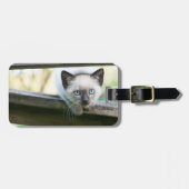 Kutest Baby Animals | Siamese Kitten 2 Bagagelabel (Voorkant horizontaal)