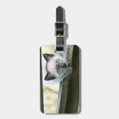 Kutest Baby Animals | Siamese Kitten 2 Bagagelabel (Voorkant verticaal)