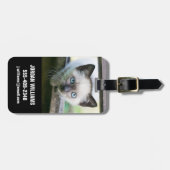 Kutest Baby Animals | Siamese Kitten 2 Bagagelabel (Voorkant horizontaal)