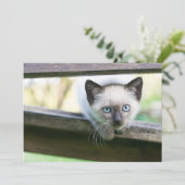 Kutest Baby Animals | Siamese Kitten 2 Bedankkaart (Staand voorkant)