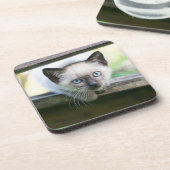 Kutest Baby Animals | Siamese Kitten 2 Bier Onderzetter (Linkerzijde)