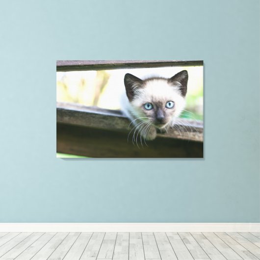 Kutest Baby Animals | Siamese Kitten 2 Canvas Afdruk (Insitu (Houten vloer))
