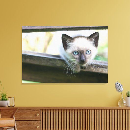 Kutest Baby Animals | Siamese Kitten 2 Canvas Afdruk (Insitu (Woonkamer))