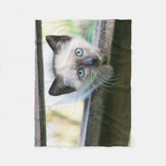 Kutest Baby Animals | Siamese Kitten 2 Fleece Deken (Voorkant)