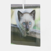 Kutest Baby Animals | Siamese Kitten 2 Glas Ornament (Voorkant links)