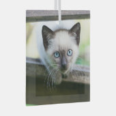 Kutest Baby Animals | Siamese Kitten 2 Glas Ornament (Voorkant Rechts)