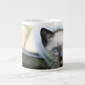 Kutest Baby Animals | Siamese Kitten 2 Grote Koffiekop (Voorkant)