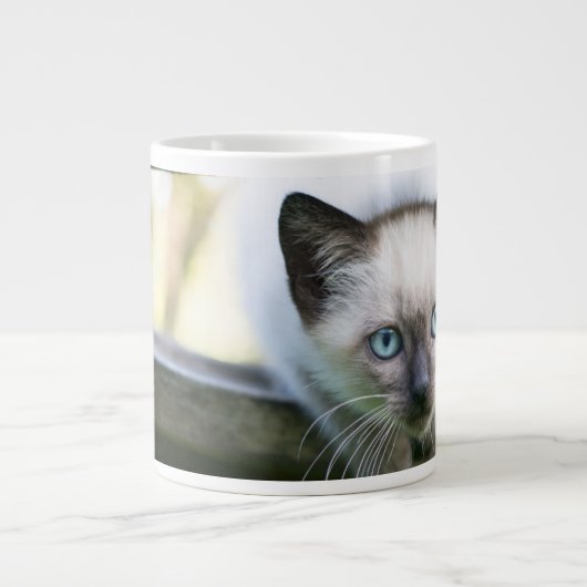 Kutest Baby Animals | Siamese Kitten 2 Grote Koffiekop (Voorkant)