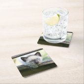 Kutest Baby Animals | Siamese Kitten 2 Kartonnen Onderzetters (Insitu)