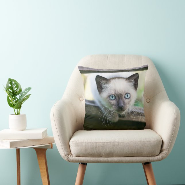 Kutest Baby Animals | Siamese Kitten 2 Kussen (Stoel)