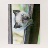 Kutest Baby Animals | Siamese Kitten 2 Legpuzzel (Verticaal)