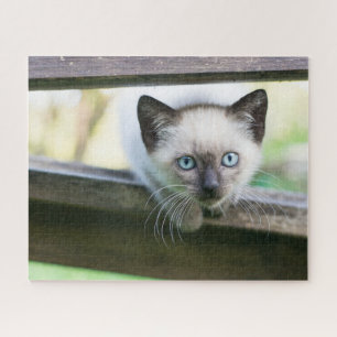 Kutest Baby Animals   Siamese Kitten 2 Legpuzzel