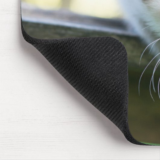 Kutest Baby Animals | Siamese Kitten 2 Muismat (Hoek)