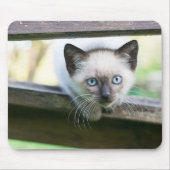 Kutest Baby Animals | Siamese Kitten 2 Muismat (Voorkant)