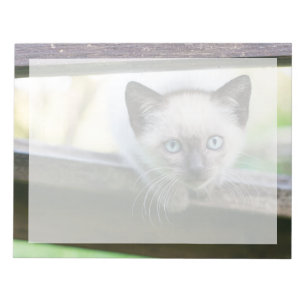 Kutest Baby Animals Siamese Kitten 2 Notitieblok