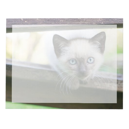 Kutest Baby Animals | Siamese Kitten 2 Notitieblok (Voorkant)
