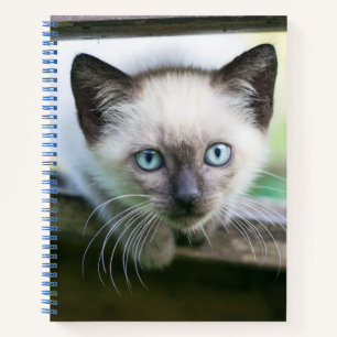 Kutest Baby Animals   Siamese Kitten 2 Notitieboek