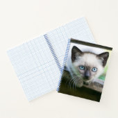 Kutest Baby Animals | Siamese Kitten 2 Notitieboek (Binnen)