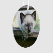 Kutest Baby Animals | Siamese Kitten 2 Ornament (voorkant)