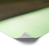 Kutest Baby Animals | Siamese Kitten 2 Poster (Hoek)