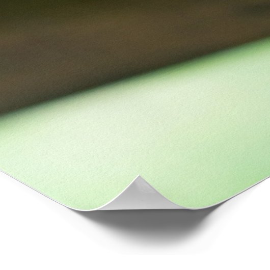 Kutest Baby Animals | Siamese Kitten 2 Poster (Hoek)