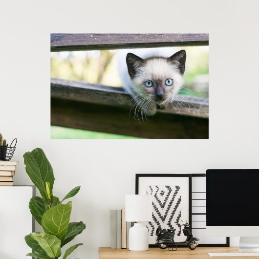 Kutest Baby Animals | Siamese Kitten 2 Poster (Thuiskantoor)