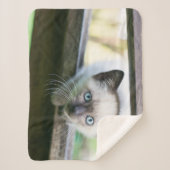 Kutest Baby Animals | Siamese Kitten 2 Sherpa Deken (Voorkant)