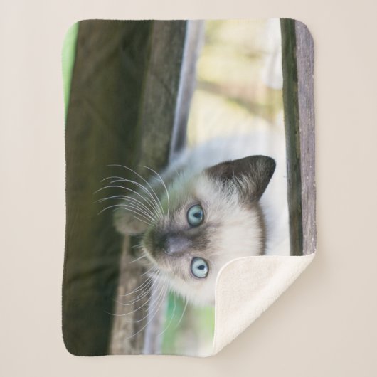 Kutest Baby Animals | Siamese Kitten 2 Sherpa Deken (Voorkant)