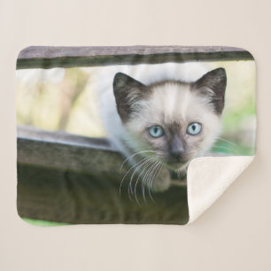 Kutest Baby Animals   Siamese Kitten 2 Sherpa Deken