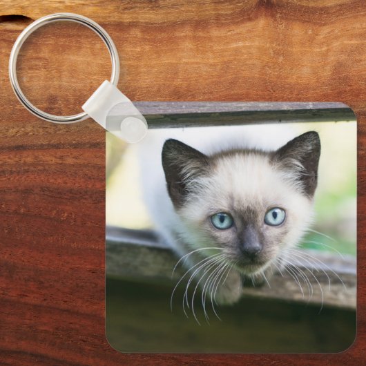 Kutest Baby Animals | Siamese Kitten 2 Sleutelhanger (Voorkant)