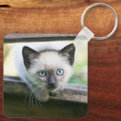 Kutest Baby Animals | Siamese Kitten 2 Sleutelhanger (Achterkant)