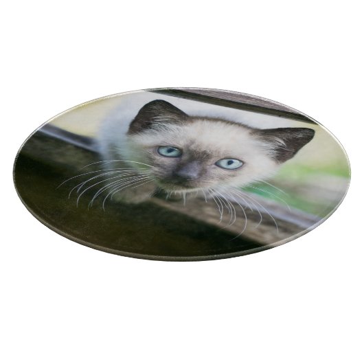 Kutest Baby Animals | Siamese Kitten 2 Snijplank (Hoek)