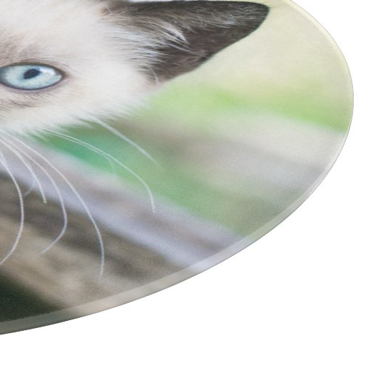 Kutest Baby Animals | Siamese Kitten 2 Snijplank (Hoek)