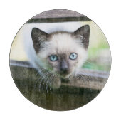Kutest Baby Animals | Siamese Kitten 2 Snijplank (Voorkant)