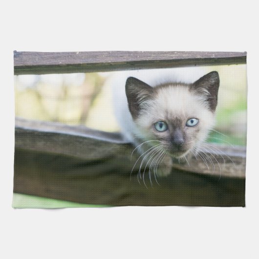 Kutest Baby Animals | Siamese Kitten 2 Theedoek (Horizontaal)
