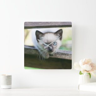 Kutest Baby Animals Siamese Kitten 2 Vierkante Klok