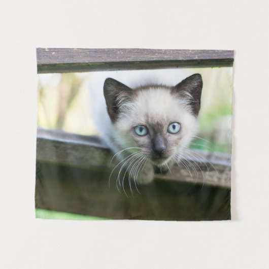 Kutest Baby Animals | Siamese Kitten 2 Wandkleed (Voorkant (horizontaal))