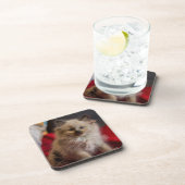 Kutest Baby Animals | Siamese Kitten Bier Onderzetter (Rechterzijde)