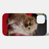 Kutest Baby Animals | Siamese Kitten Case-Mate iPhone Case (Achterkant (horizontaal))