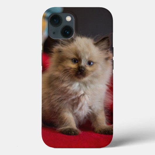 Kutest Baby Animals | Siamese Kitten Case-Mate iPhone Case (Achterkant)