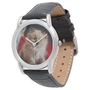 Kutest Baby Animals   Siamese Kitten Horloge