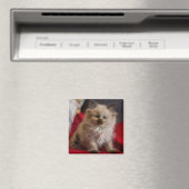 Kutest Baby Animals | Siamese Kitten Magneet (Insitu (Vaatwasser))