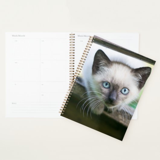 Kutest Baby Animals | Siamese Kitten Planner (Display)