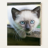 Kutest Baby Animals | Siamese Kitten Planner (Achterkant)